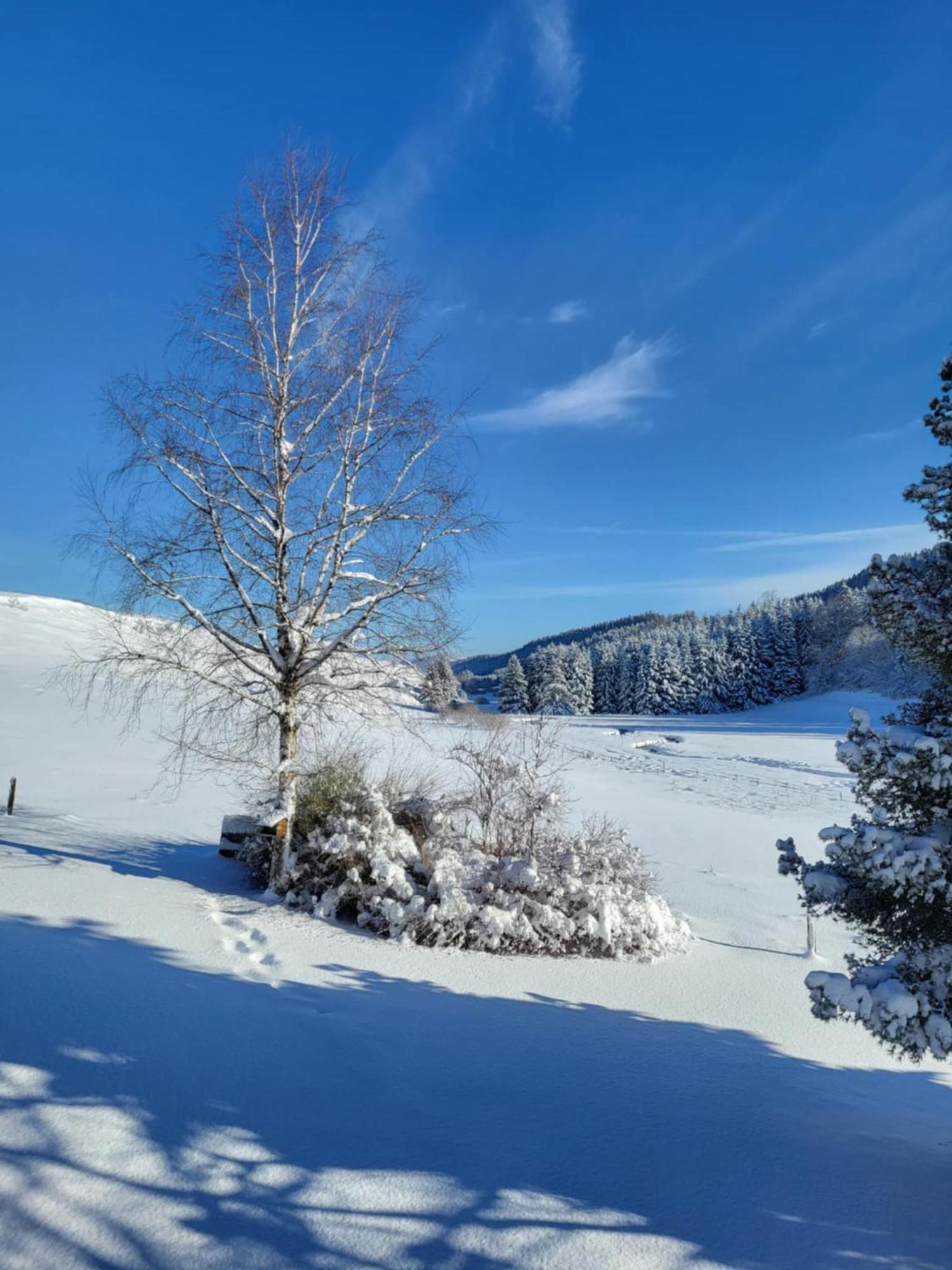 Hotel Auberge Du Grand Git La Chaux Neuve Buitenkant foto