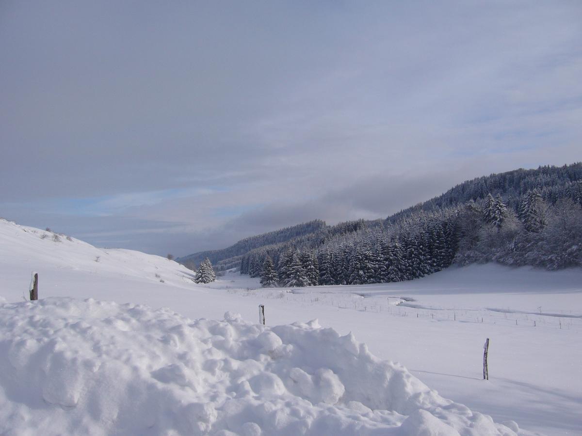Hotel Auberge Du Grand Git La Chaux Neuve Buitenkant foto